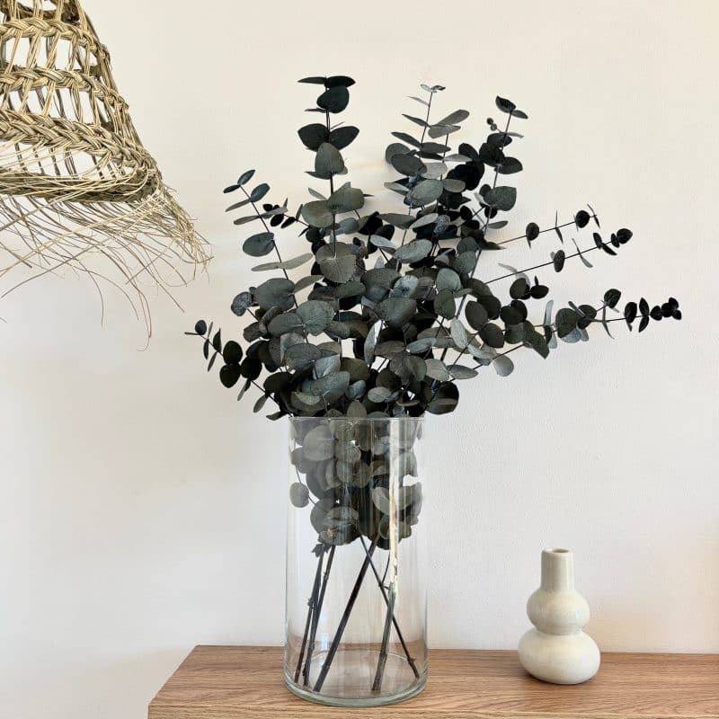 Branches d’eucalyptus stabilisé dans un vase - feuillage décoratif naturel