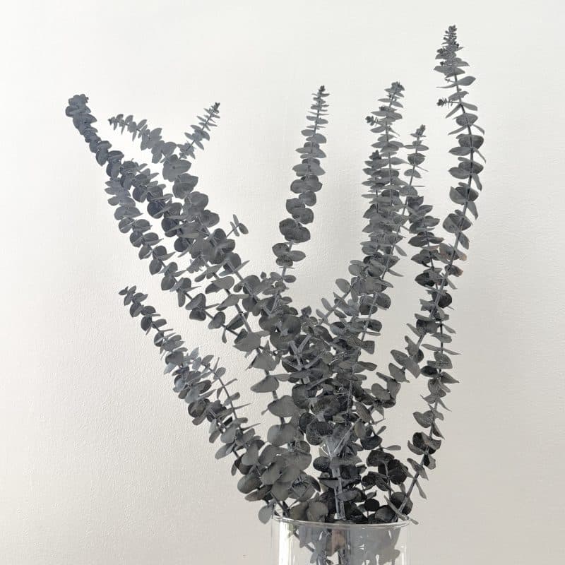 bouquet eucalyptus stabilise decoration vegetale